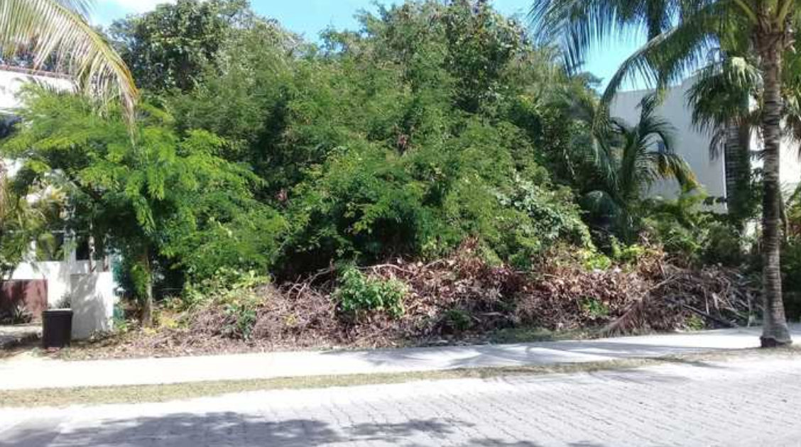 LOT PLAYACAR CEO Real Estate Cozumel